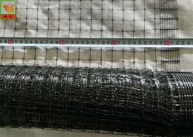 Black Plastic Poultry Netting, Plastic Chicken Mesh Fence, Light Weight, PP Materials, 40GSM