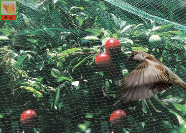 Green Garden Mesh Netting Polypropylene Bird Netting Hole Open 10mm * 12 Mm
