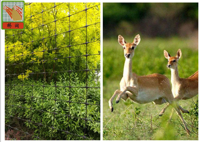 1 5 M Height Pp Plastic Deer Barrier Netting Garden Fence To