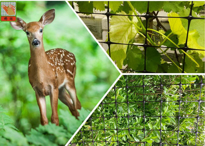 1m Height Black Plastic Deer Fence Netting To Protect Plants Hole Size 20mm