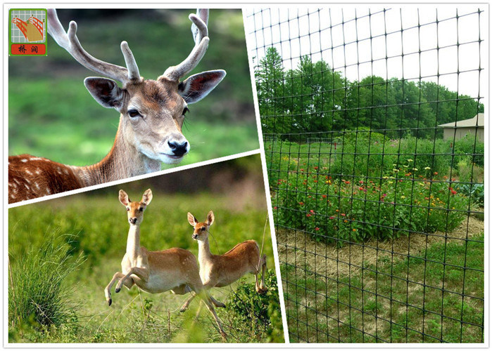 Polypropylene Deer Fence Netting / Black Mesh Deer Fencing UV Protected