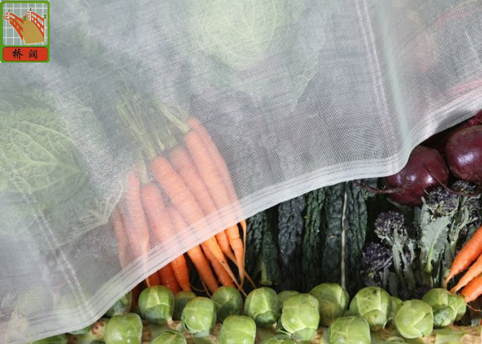 Vegetable Greenhouse Insect Net Agricultural Netting HDPE Materials