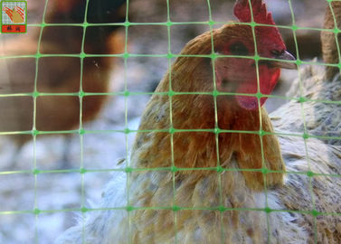 1.2 M Height Poultry Netting, Plastic Poultry Netting, Green Plastic Net Fencing For Chicken, 35GSM
