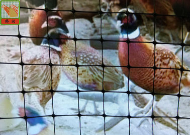 Black Plastic Chicken Netting , Plastic Poultry Netting, Plastic Poultry Fence,  1.5M High, BOP Nettings