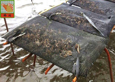 Diamond Style Aquaculture Netting Black Oyster Mesh Cage HDPE Materials