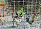 High Strength Plastic Poultry Netting,  Chicken Fence, 1.5M High,  Gray Color, 20MM Hole Size