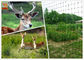 Black Deer Fence , Deer Fence Netting, 100 Meters Long, 1.2 Meters High, PP Materials