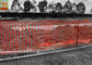 Orange Color Plastic Construction Netting , 1.2m Width Construction Barrier Fence