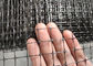 Black Color Industrial Plastic Netting PP Support Mesh 40g / Sqm Free Sample