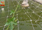 White Plastic Pea And Bean Netting , Extruded Polyethylene Mesh Netting 3 Meters Width
