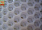 Hexagonal Plaining 13mm Extruded Plastic Netting