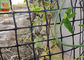 HDPE Garden Climbing Plant Support Netting , Garden Mesh Netting , Garden Plastic Mesh Fencing , Black Color