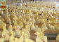 Ducklings Breeding Henhouse 650GSM Plastic Poultry Netting