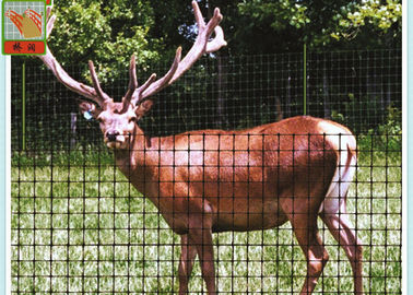 Strong Black Plastic Mesh, Deer Fence Netting, Deer Barrier, 1 Meter High, 50MM Hole Size