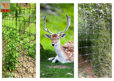 Deer Barrier, Deer Fence Netting, PP Materials, Extruded Plastic Netting, 100 Meters Height