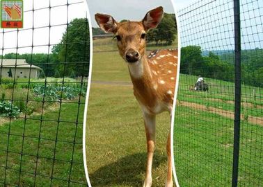 Plastic Deer Fence Netting , Garden Deer Mesh Fencing 1.2  Meters Height